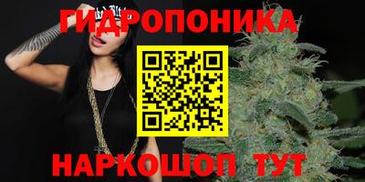 СК Пугачёв