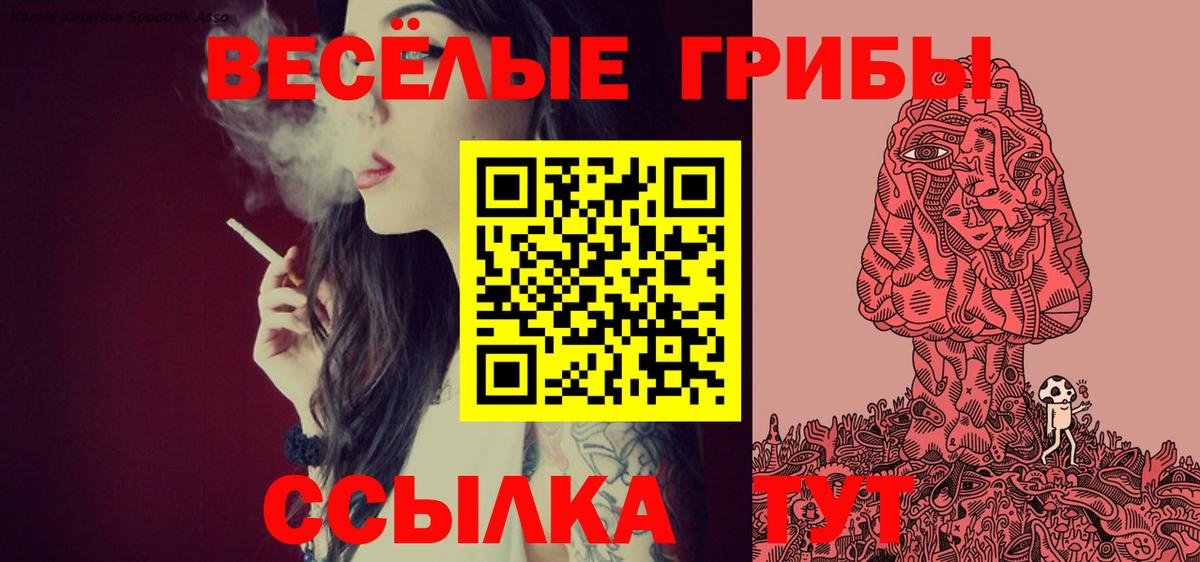 Псилоцибиновые грибы мухоморы Строитель